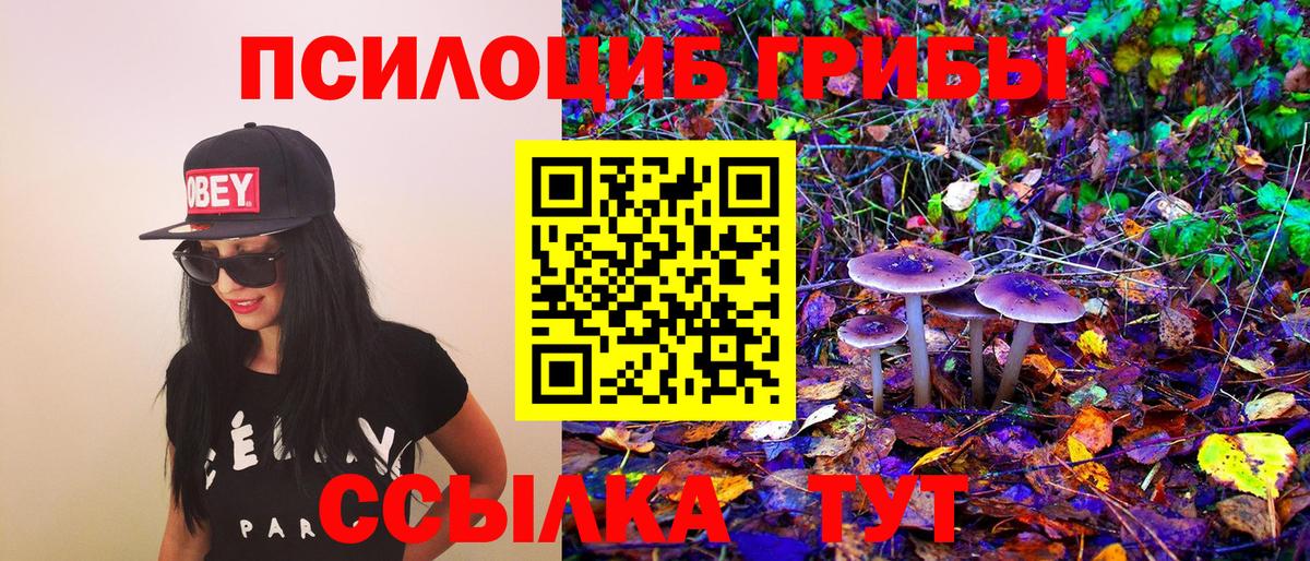 Галлюциногенные грибы прущие грибы  где продают   Алексин  Вход с VPN  Галлюциногенные грибы Psilocybine cubensis 